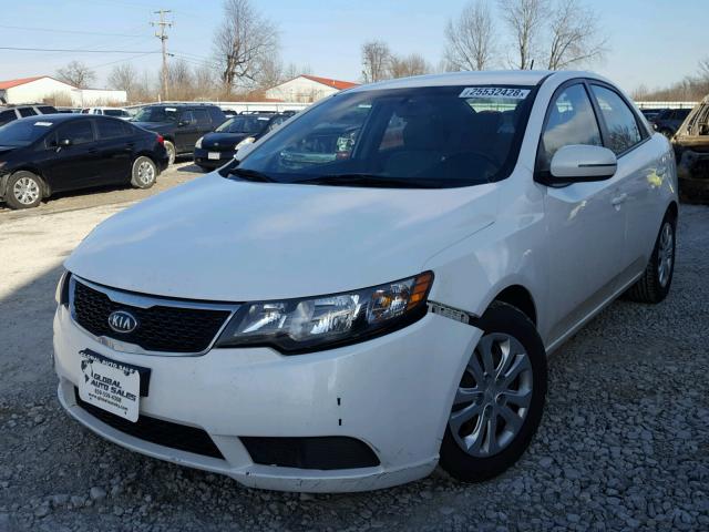 KNAFU4A24B5378833 - 2011 KIA FORTE EX WHITE photo 2