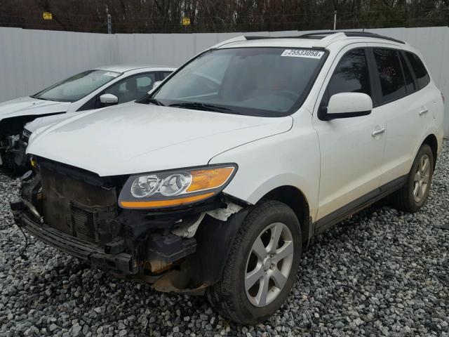 5NMSH13EX9H302276 - 2009 HYUNDAI SANTA FE S WHITE photo 2