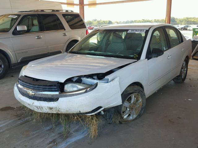 1G1ZT54855F185137 - 2005 CHEVROLET MALIBU LS 白色 照片 2
