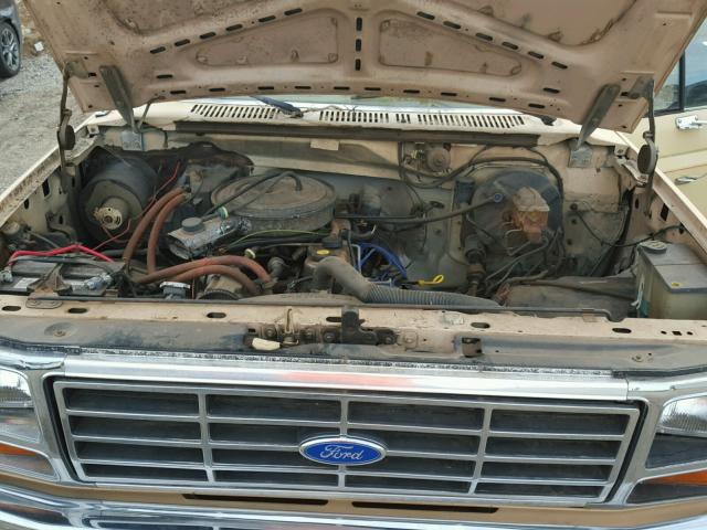 1FTEF14Y3FPB54566 - 1985 FORD F150 TAN photo 7