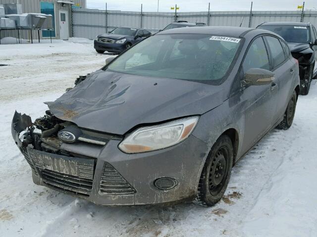 1FADP3K28DL109300 - 2013 FORD FOCUS SE GRAY photo 2