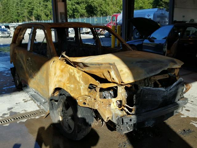 1FMCU93148KB48979 - 2008 FORD ESCAPE XLT BURN photo 1