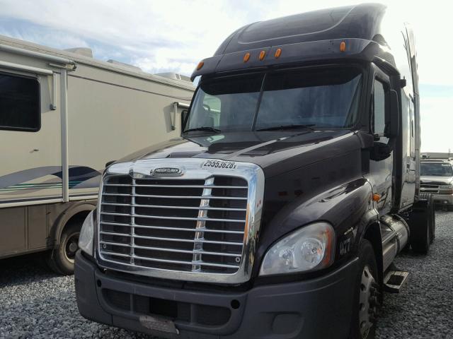 1FUJGLBG4BSAW4380 - 2011 FREIGHTLINER CASCADIA 1 BROWN photo 2