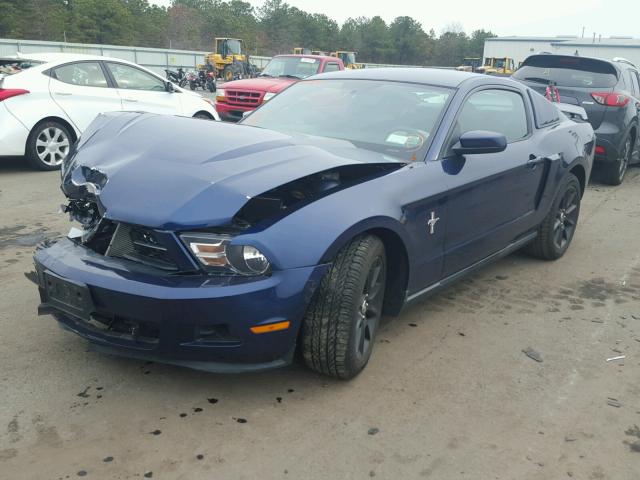 1ZVBP8AM5B5113983 - 2011 FORD MUSTANG BLUE photo 2