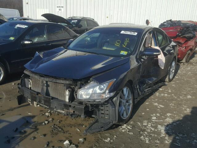 1N4AA5AP7AC826845 - 2010 NISSAN MAXIMA S BLUE photo 2