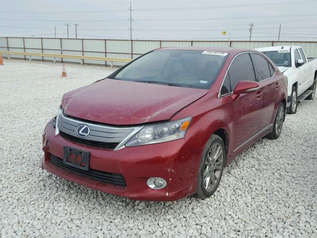 JTHBB1BA6A2037590 - 2010 LEXUS HS 250H RED photo 2