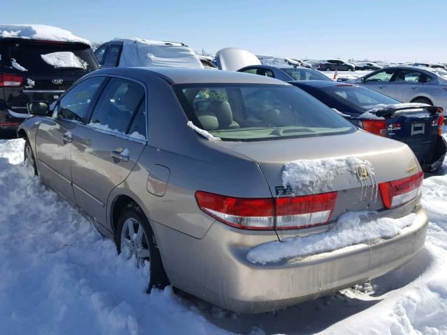 1HGCM66503A052252 - 2003 HONDA ACCORD EX GOLD photo 3