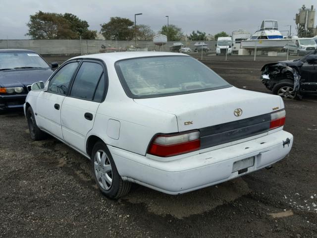 1NXBB02E5TZ356612 - 1996 TOYOTA COROLLA DX WHITE photo 3