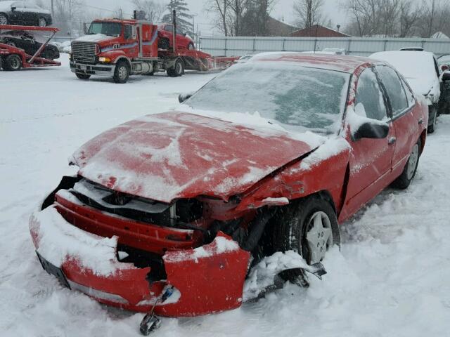 1G1JC52FX57116520 - 2005 CHEVROLET CAVALIER RED photo 2