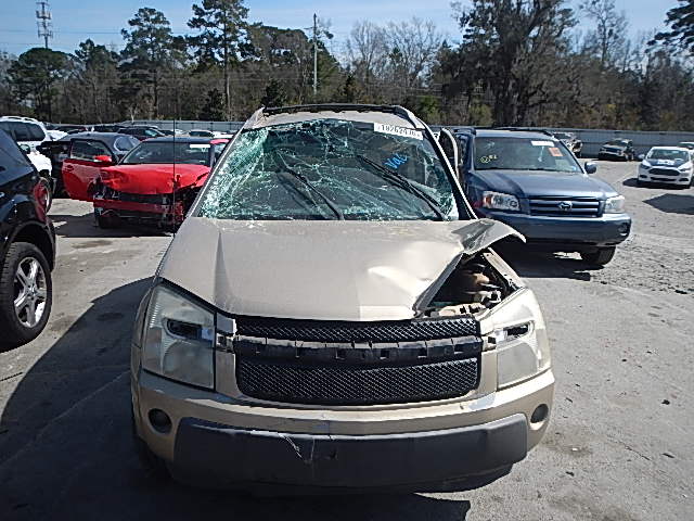 2CNDL63F256051859 - 2005 CHEVROLET EQUINOX BEIGE photo 10