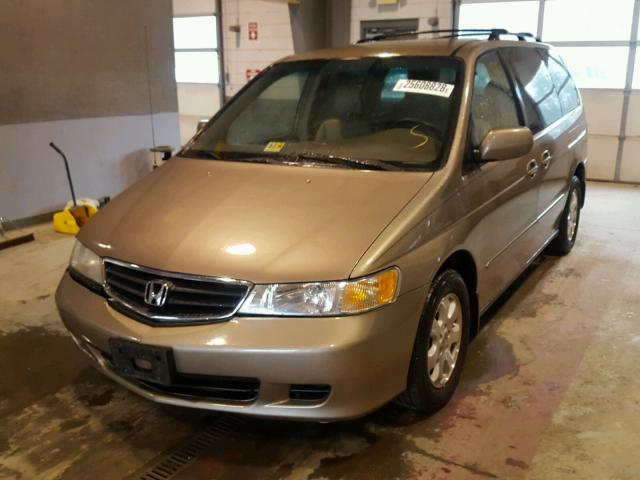 5FNRL18034B018461 - 2004 HONDA ODYSSEY EX BEIGE photo 2