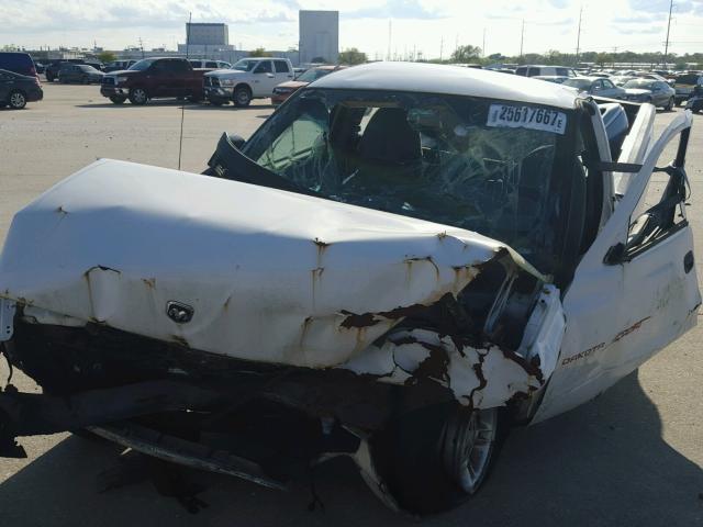 1B7FL26X3XS231555 - 1999 DODGE DAKOTA WHITE photo 2