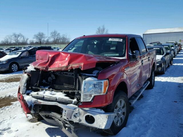 1FTFW1ET0CFA08702 - 2012 FORD F150 SUPER RED photo 2