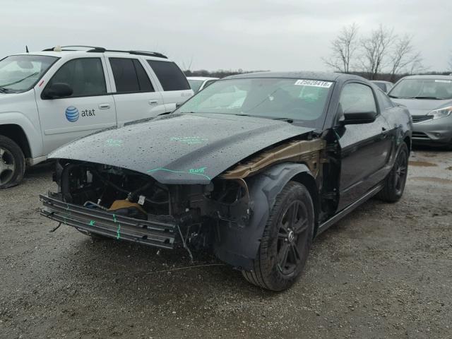 1ZVBP8AM5D5263675 - 2013 FORD MUSTANG BLACK photo 2