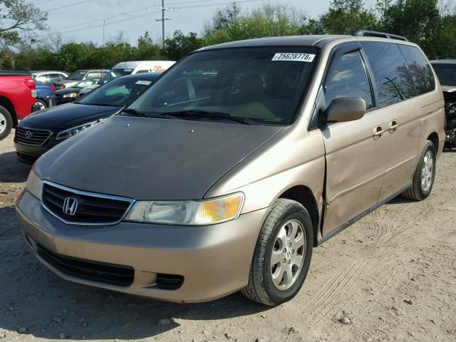 5FNRL18864B147106 - 2004 HONDA ODYSSEY EX GOLD photo 2