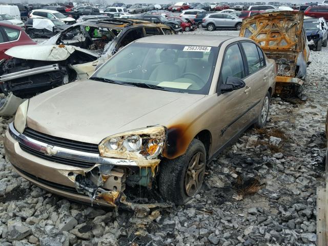 1G1ZS52F15F128325 - 2005 CHEVROLET MALIBU TAN photo 2