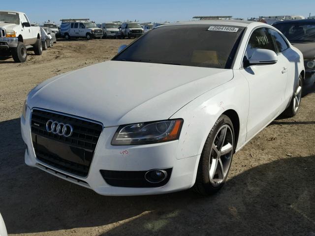 WAUDK78T29A024369 - 2009 AUDI A5 QUATTRO WHITE photo 2