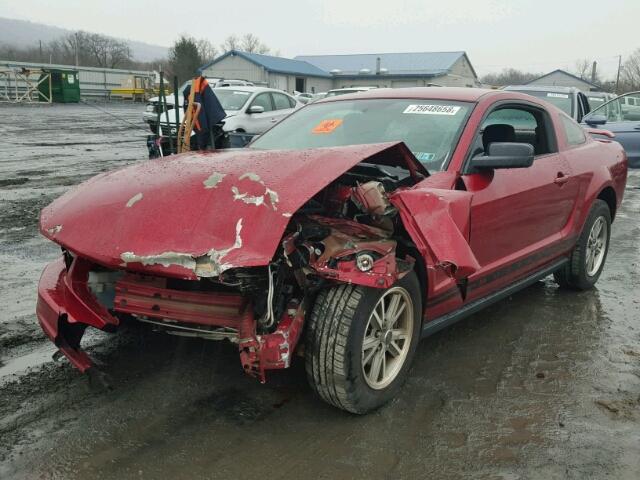 1ZVFT80N155141100 - 2005 FORD MUSTANG RED photo 2