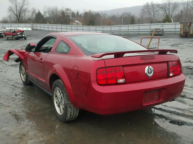 1ZVFT80N155141100 - 2005 FORD MUSTANG RED photo 3