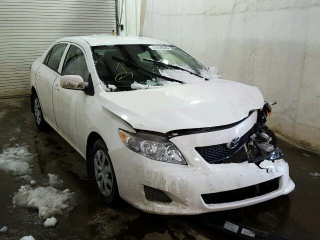 2T1BU4EE0AC239855 - 2010 TOYOTA COROLLA BA WHITE photo 1