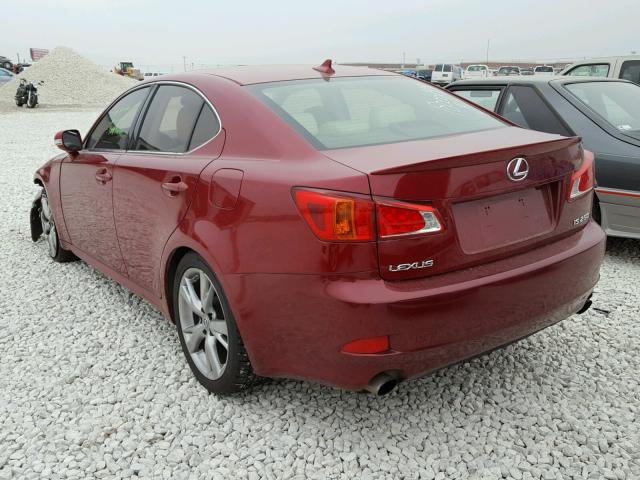 JTHBK262995088469 - 2009 LEXUS IS 250 MAROON photo 3