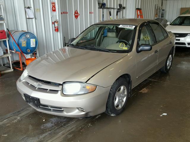 1G1JC52F237310472 - 2003 CHEVROLET CAVALIER GOLD photo 2