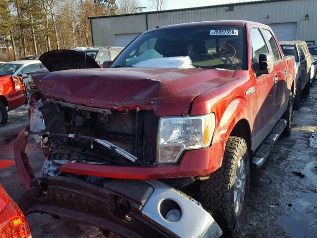 1FTFW1EF0DKD82102 - 2013 FORD F150 SUPER RED photo 2