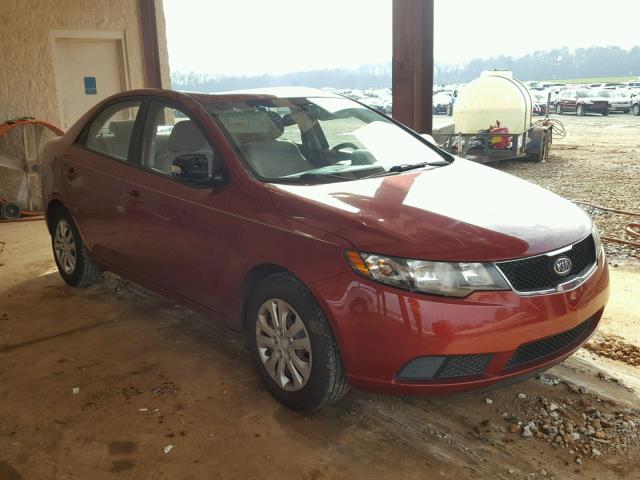 KNAFU4A21A5053717 - 2010 KIA FORTE EX RED photo 1