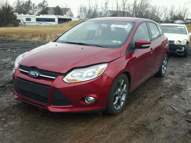 1FADP3K26DL339370 - 2013 FORD FOCUS SE RED photo 2