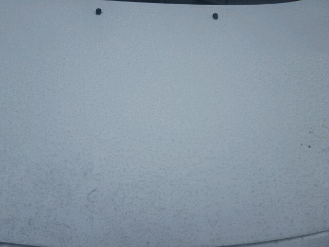 JTKDE177850004986 - 2005 TOYOTA SCION TC 白色 照片 7