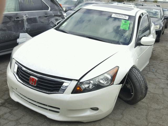 1HGCP36808A051271 - 2008 HONDA ACCORD EXL WHITE photo 2