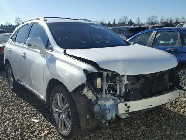 2T2BK1BA9EC245936 - 2014 LEXUS RX 350 WHITE photo 1