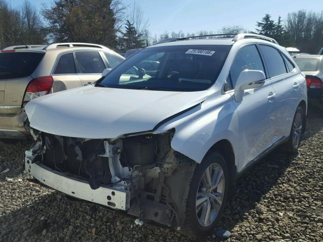 2T2BK1BA9EC245936 - 2014 LEXUS RX 350 WHITE photo 2