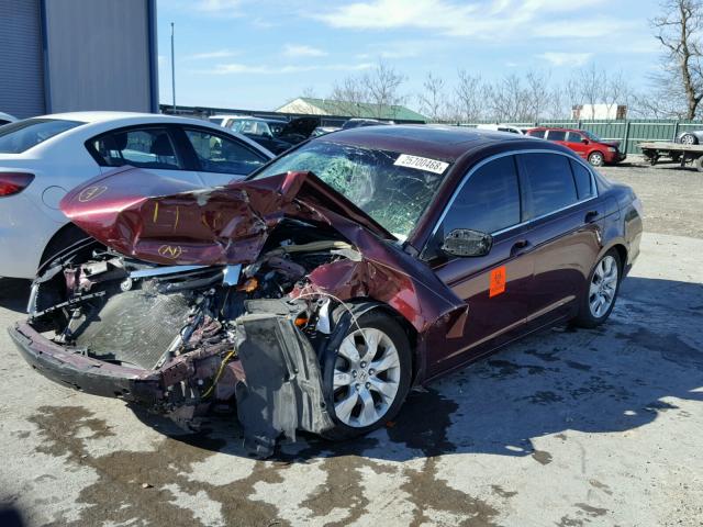 1HGCP2F71AA140533 - 2010 HONDA ACCORD EX MAROON photo 2