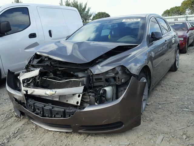 1G1ZB5EB1A4123236 - 2010 CHEVROLET MALIBU LS ყავისფერი ფოტო 2