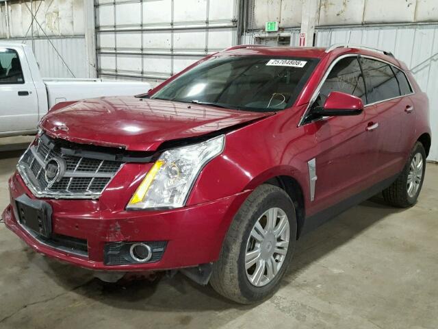 3GYFNEEY9AS504638 - 2010 CADILLAC SRX PERFOR RED photo 2