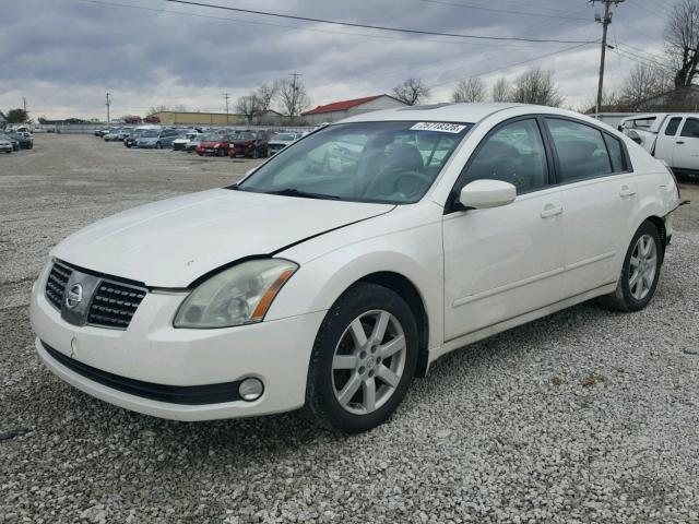 1N4BA41EX4C915911 - 2004 NISSAN MAXIMA SE WHITE photo 2