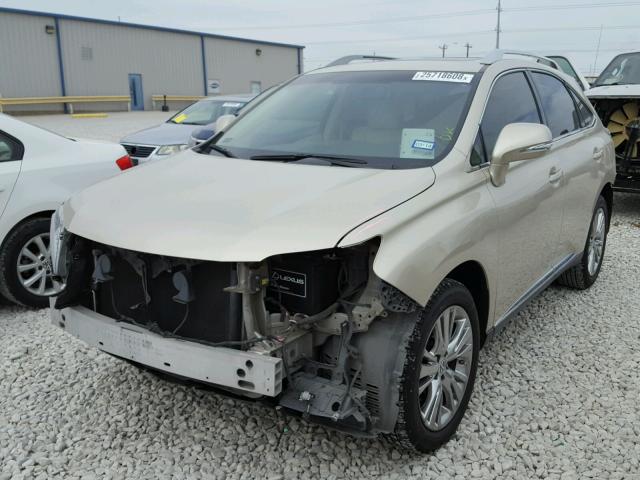 2T2ZK1BA1DC116263 - 2013 LEXUS RX 350 GOLD photo 2