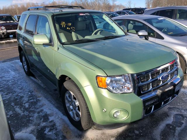 1FMCU5K38AKA68344 - 2010 FORD ESCAPE HYB GREEN photo 1