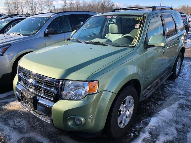 1FMCU5K38AKA68344 - 2010 FORD ESCAPE HYB GREEN photo 2