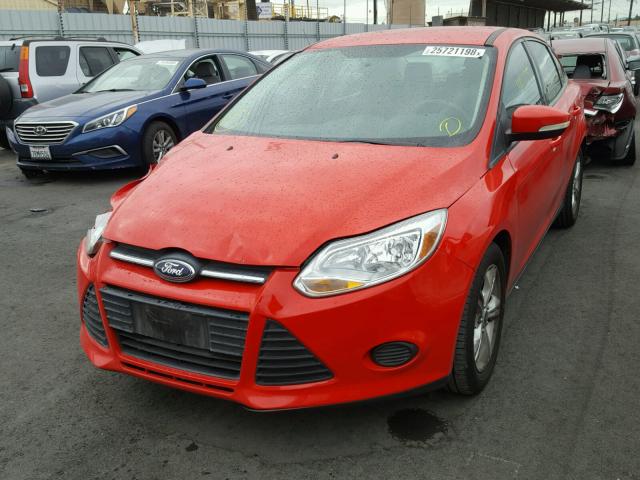 1FADP3F21DL279427 - 2013 FORD FOCUS SE RED photo 2