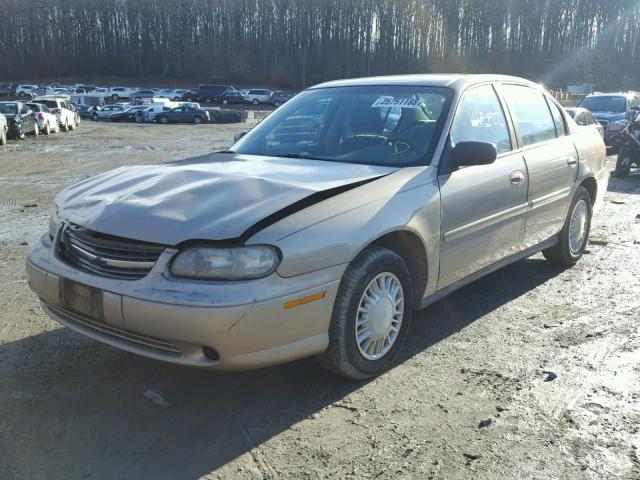 1G1ND52J916262281 - 2001 CHEVROLET MALIBU GOLD photo 2