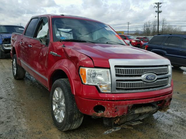 1FTFW1EVXAFA75600 - 2010 FORD F150 SUPER RED photo 1