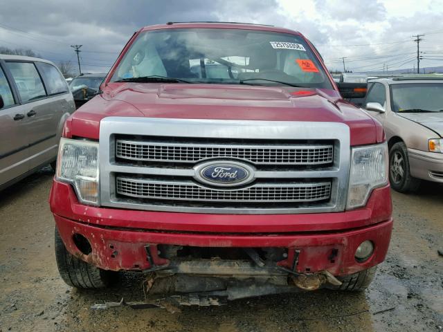 1FTFW1EVXAFA75600 - 2010 FORD F150 SUPER RED photo 7