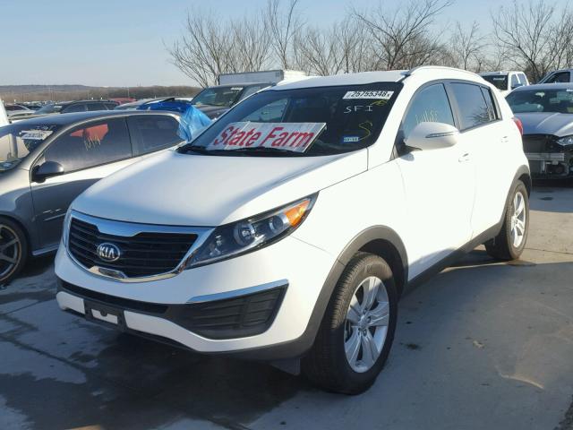 KNDPB3A28D7371799 - 2013 KIA SPORTAGE B WHITE photo 2