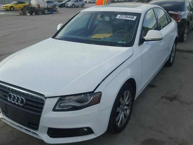 WAUSF78K99A143720 - 2009 AUDI A4 PREMIUM WHITE photo 2