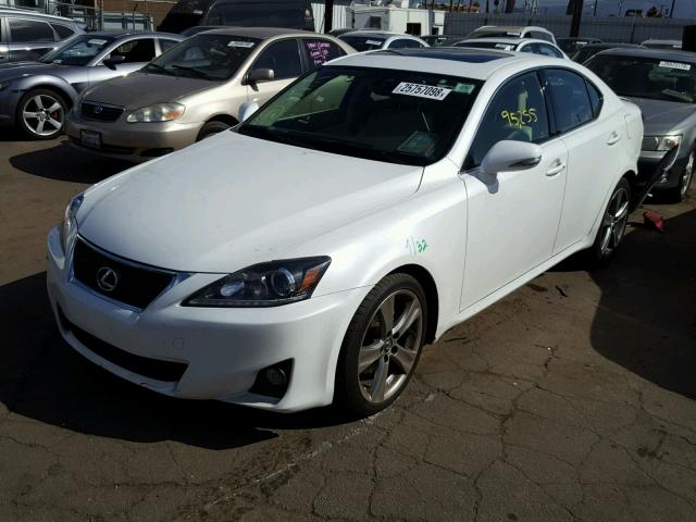 JTHBF5C24B5156595 - 2011 LEXUS IS 250 WHITE photo 2