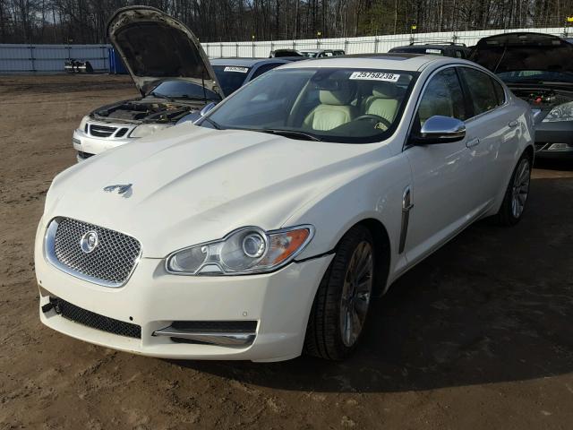 SAJWA0GBXALR50561 - 2010 JAGUAR XF PREMIUM WHITE photo 2