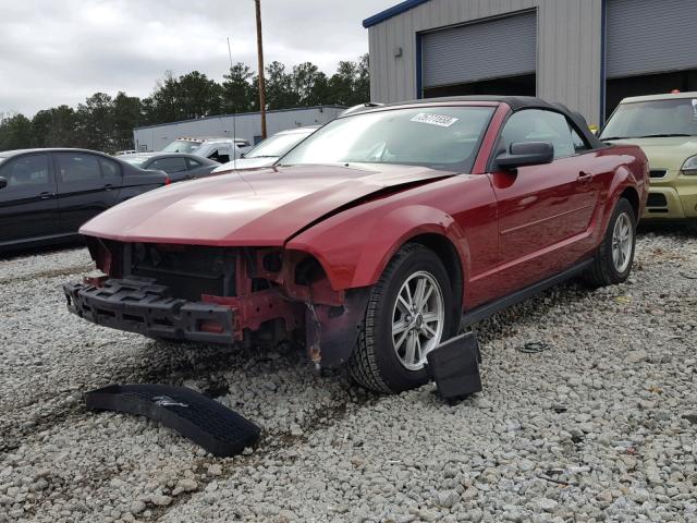 1ZVFT84N355206202 - 2005 FORD MUSTANG RED photo 2