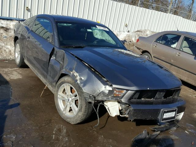 1ZVBP8AN2A5145961 - 2010 FORD MUSTANG GRAY photo 1